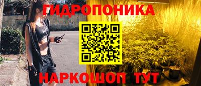 бошки Будённовск
