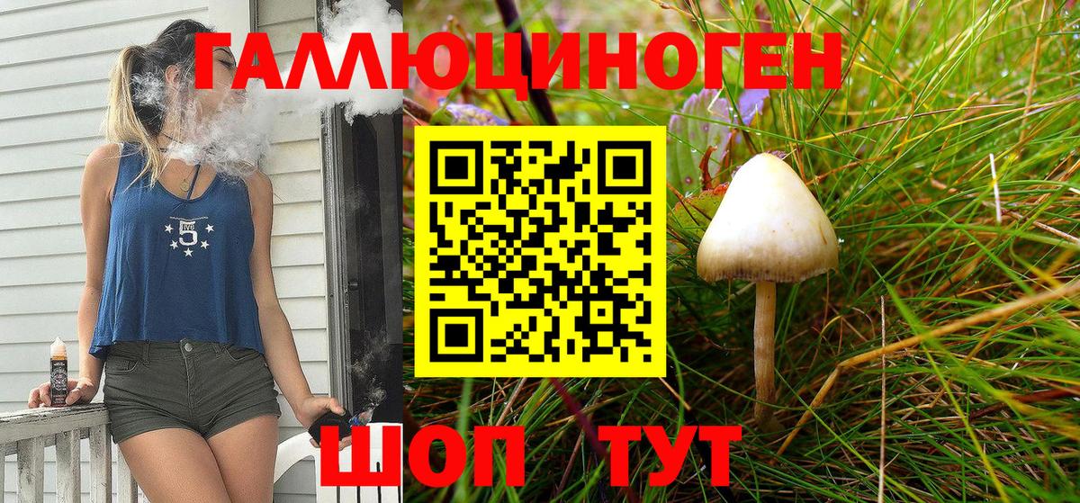 Галлюциногенные грибы Psilocybe Таганрог