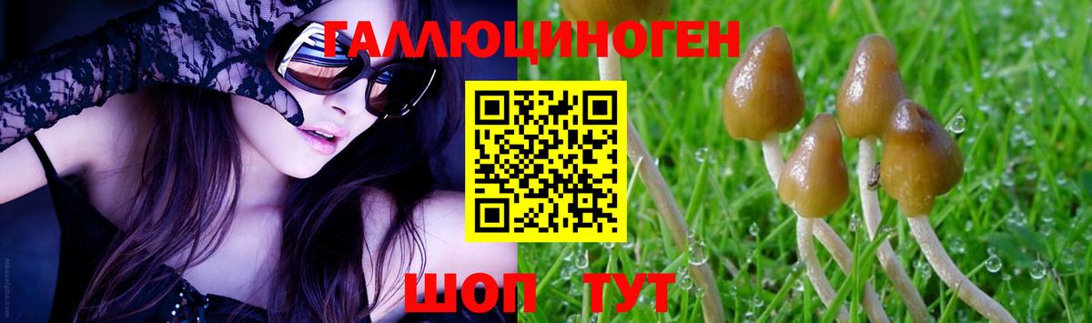 Таганрог  где продают наркотики  Вход с VPN  Псилоцибиновые грибы мухоморы 